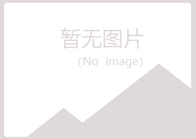 白山小夏建设有限公司